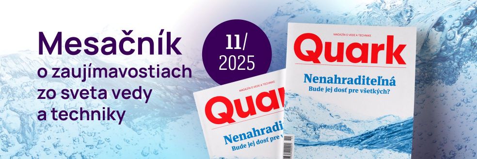 QUARK│november 2025