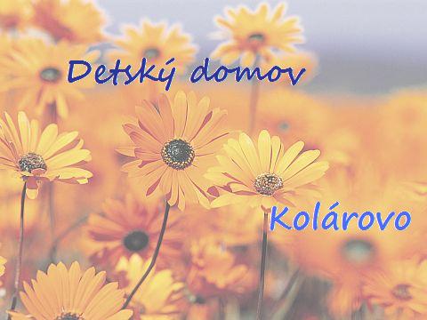 Detský domov - Kolárovo